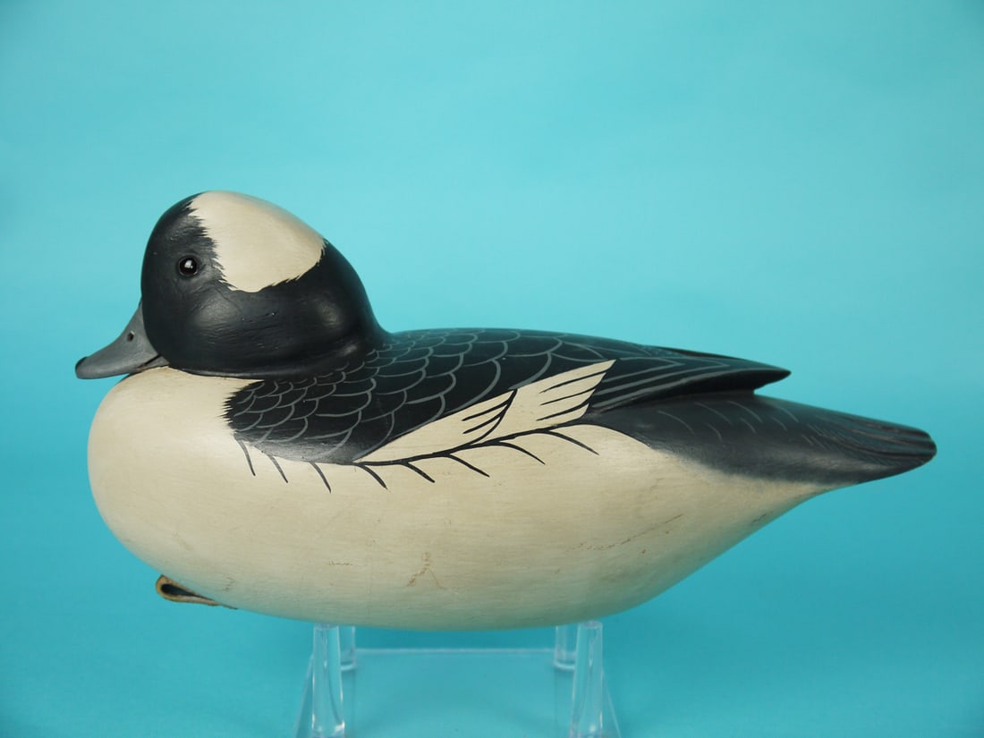 BUFFLEHEAD DRAKE, C. FENNIMORE (1 of 4)