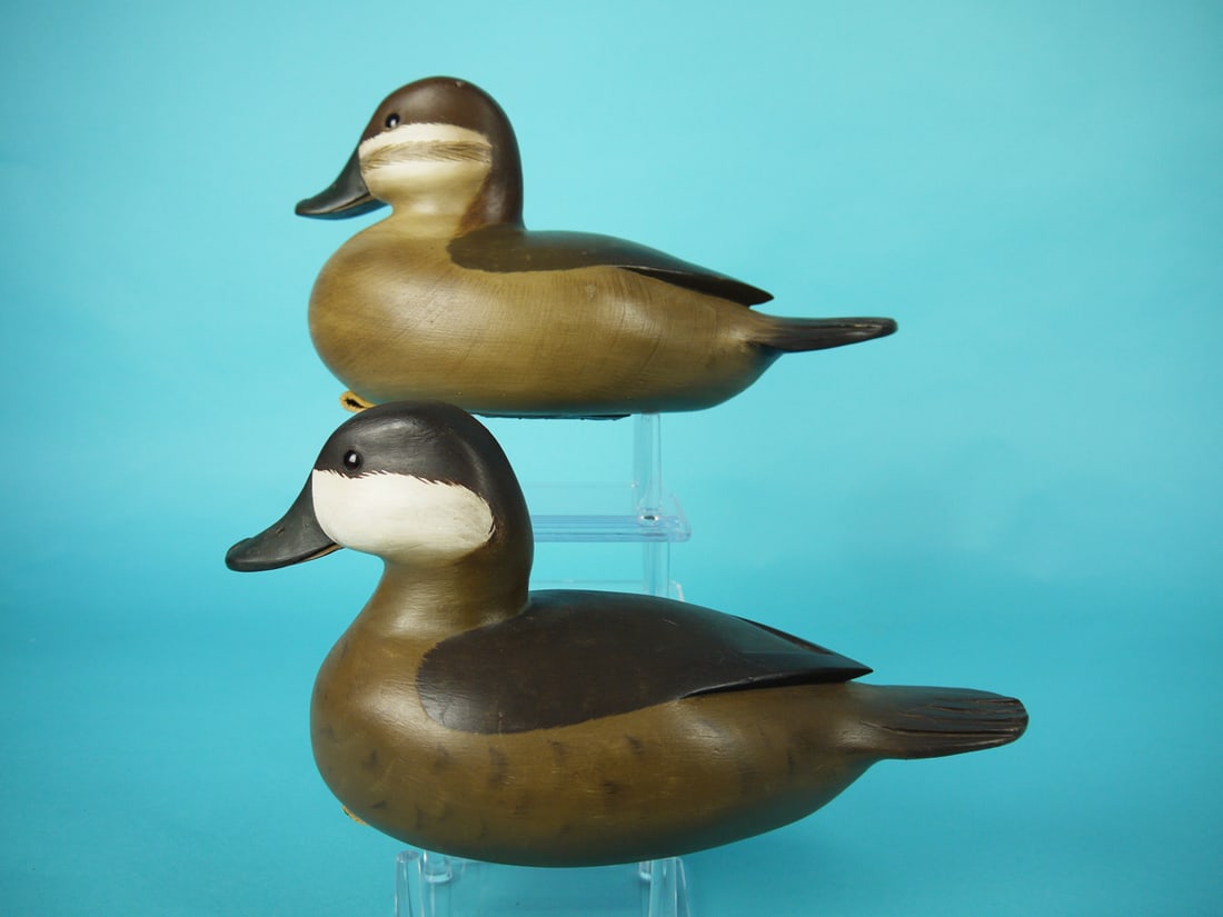 RUDDY DUCK PAIR, C. FENNIMORE (1 of 4)