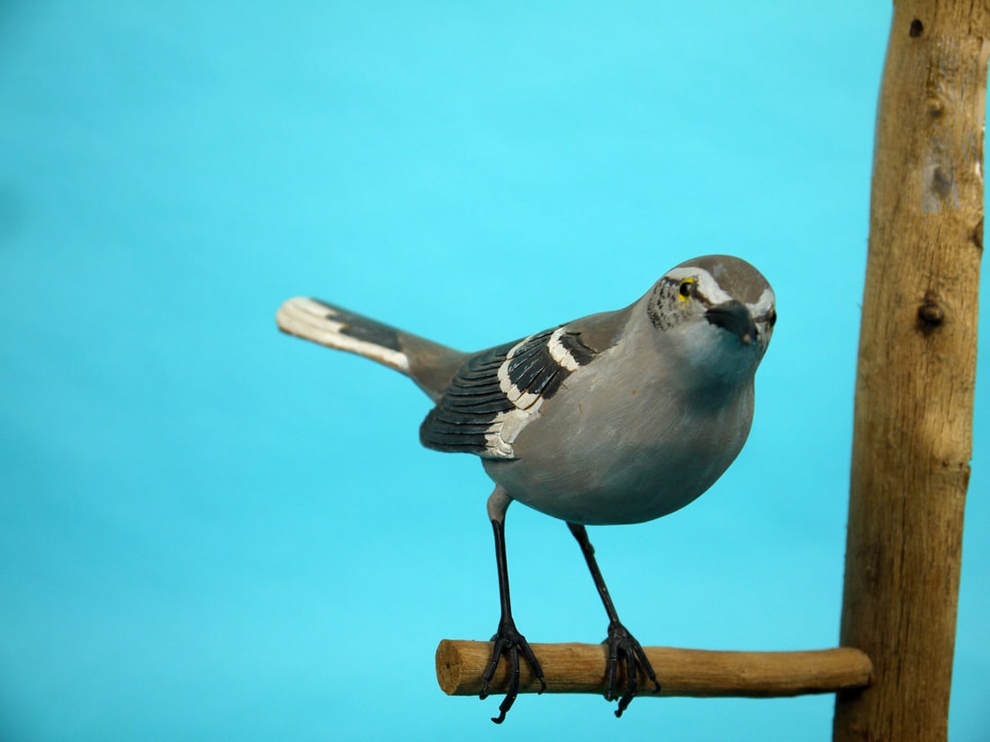 MOCKING BIRD, D. HUTCHINS - 2