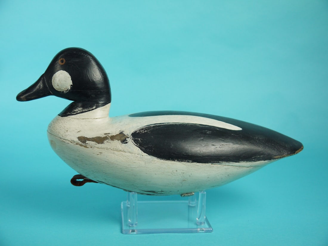 GOLDENEYE DRAKE, BARNEGAT BAY (1 of 4)