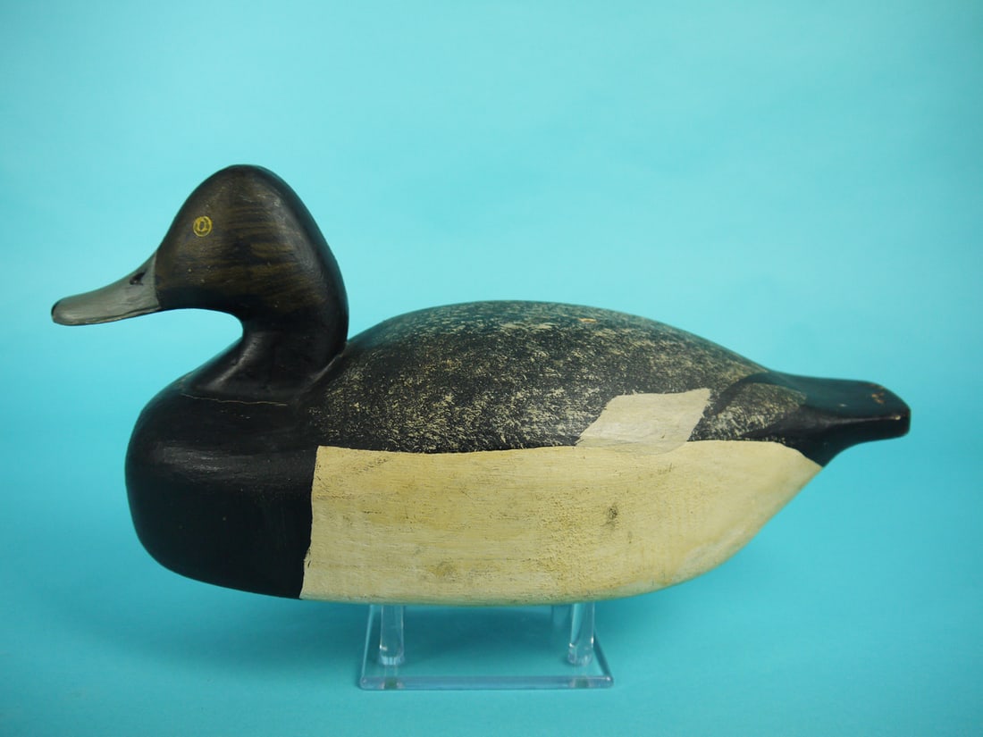 BLUEBILL DRAKE, B. BEARDSLEY (1 of 4)