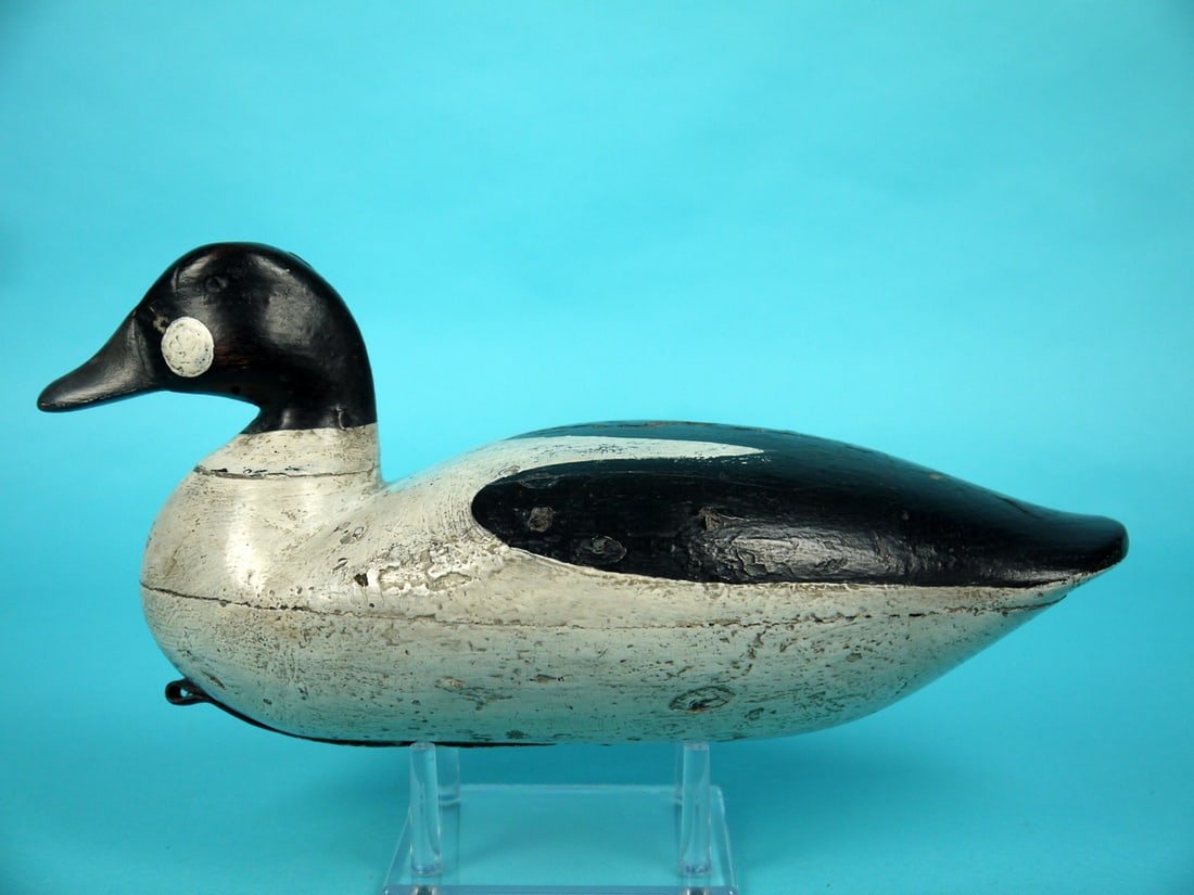 GOLDENEYE DRAKE, H. BOICE (1 of 4)