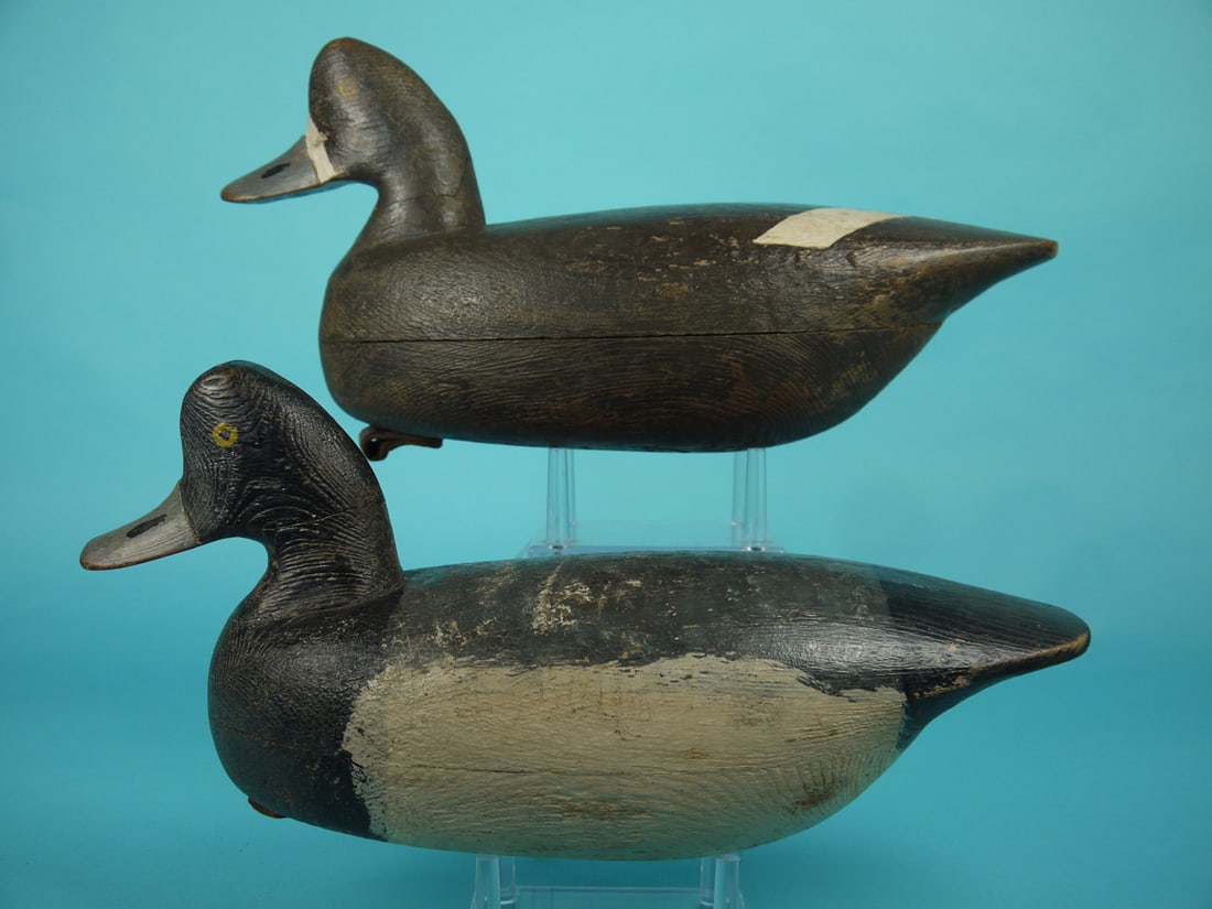 BROADBILL PAIR, R. CORLIES (1 of 4)