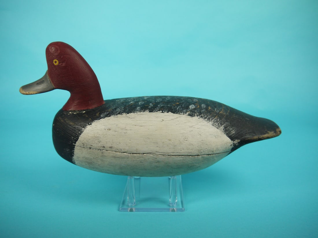 REDHEAD DRAKE, R. CORLIES (1 of 4)