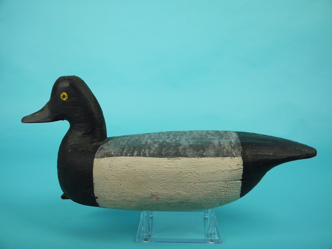 BLUEBILL DRAKE, R. CORLIES (1 of 4)