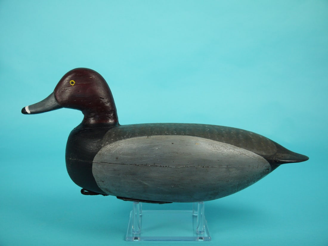 REDHEAD DRAKE, J.T. CRANMER (1 of 4)