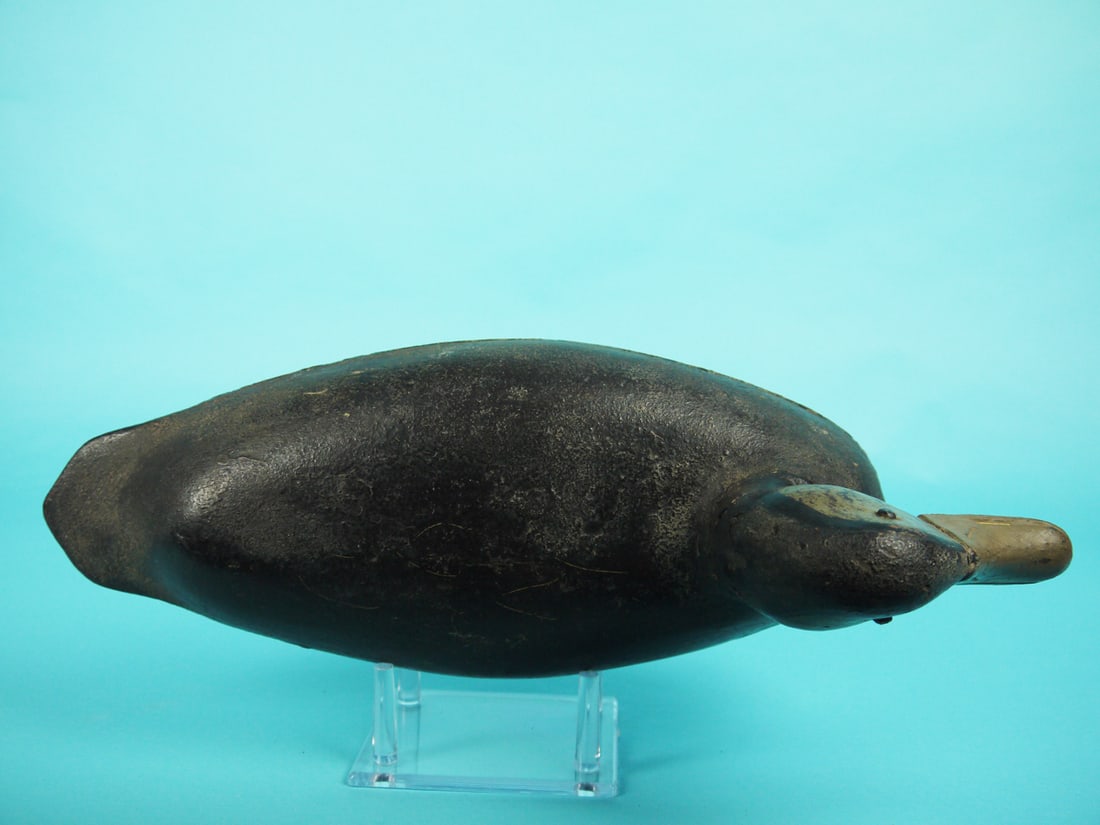 BLACK DUCK, E. HENDRICKS - 3