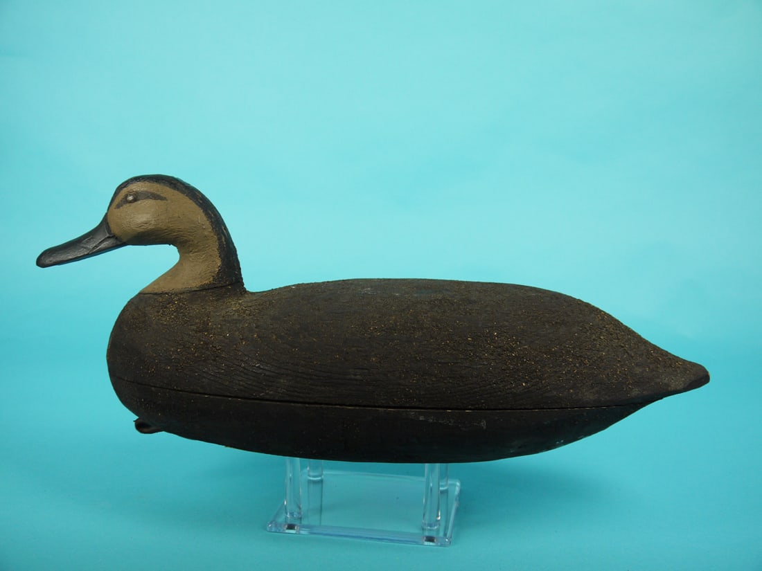 BLACK DUCK, C. HICKMAN (1 of 4)