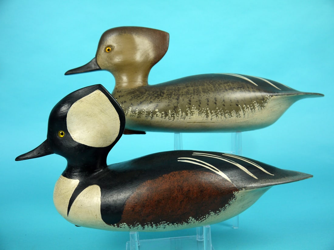 HOODED MERGANSER PAIR, J. HOLLOWAY (1 of 4)