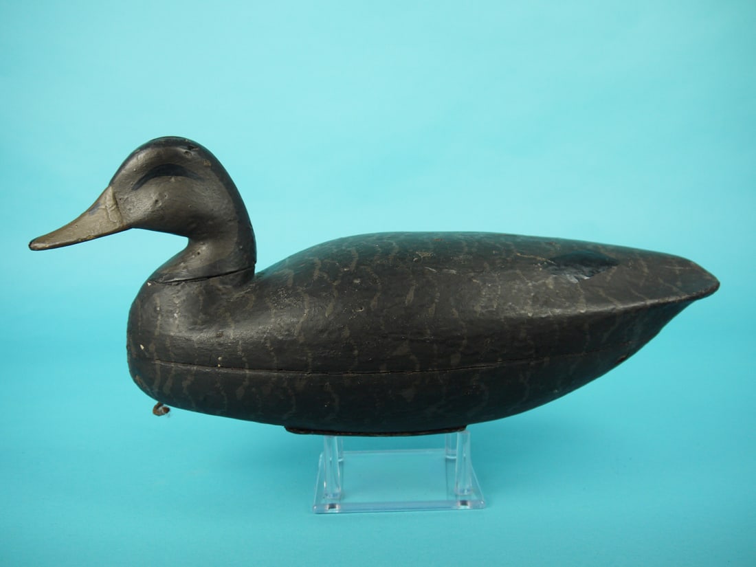 BLACK DUCK, NEW JERSEY: BLACK DUCK, New Jersey. Working paint with some flaking on breast and good structural condition. Hollow construction. Overall length is approximately 17 1/2 inches.