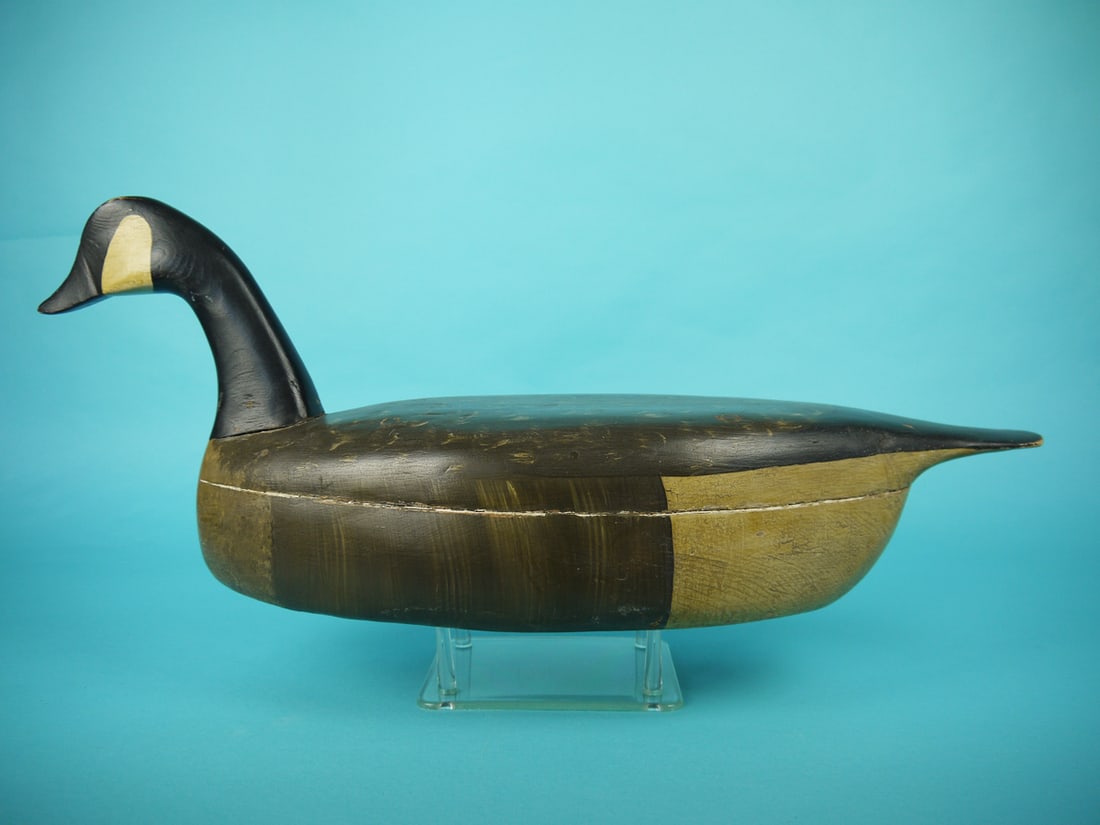 CANADA GOOSE, MANAHAWKIN (1 of 4)