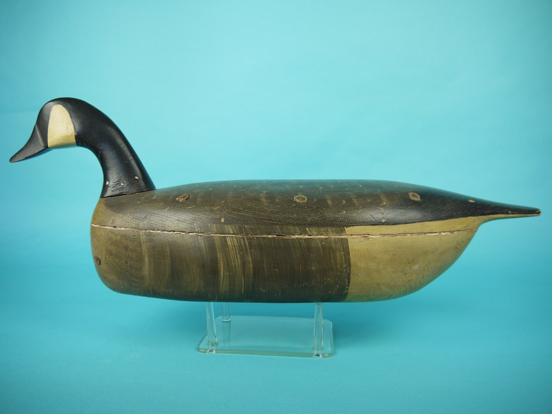 CANADA GOOSE, MANAHAWKIN (1 of 4)