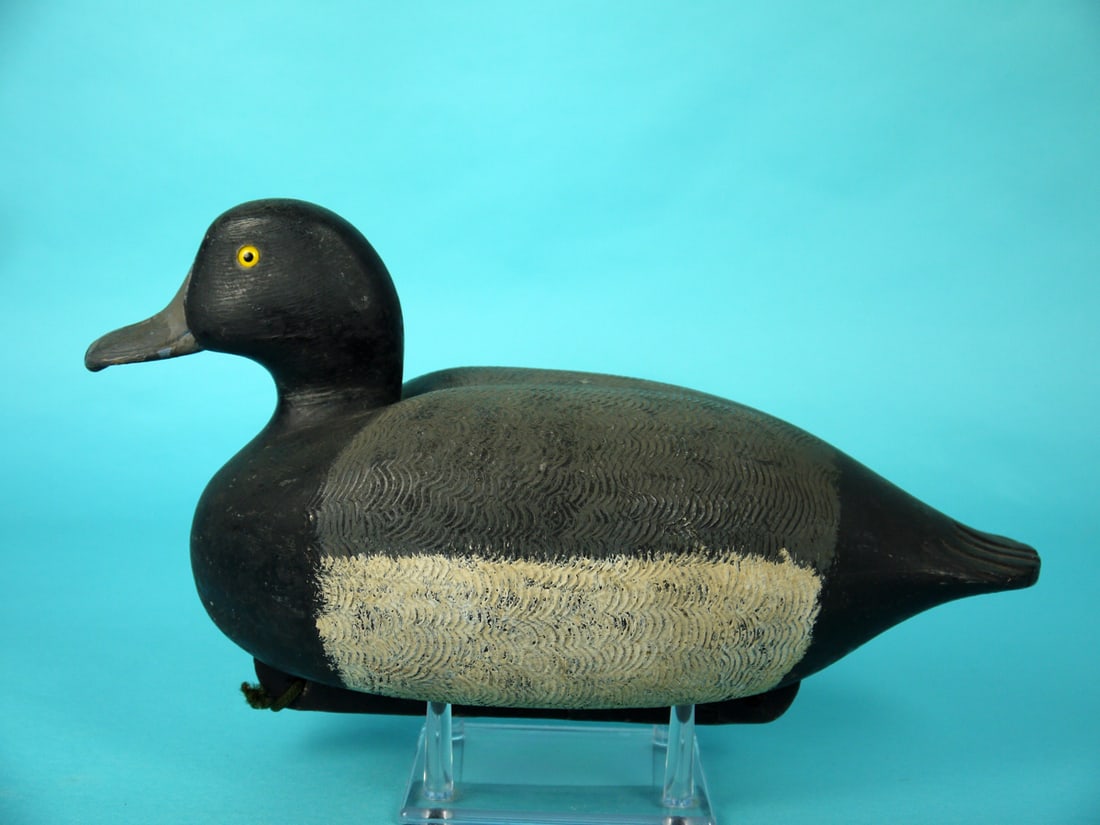 BLUEBILL DRAKE, C. ALLEN: BLUEBILL DRAKE by Charles Allen, Bordentown, NJ, circa 1940s. Very good original paint and structural condition. Comb-feather paint detail to back and sides. Tail with carved feather detail. Retains