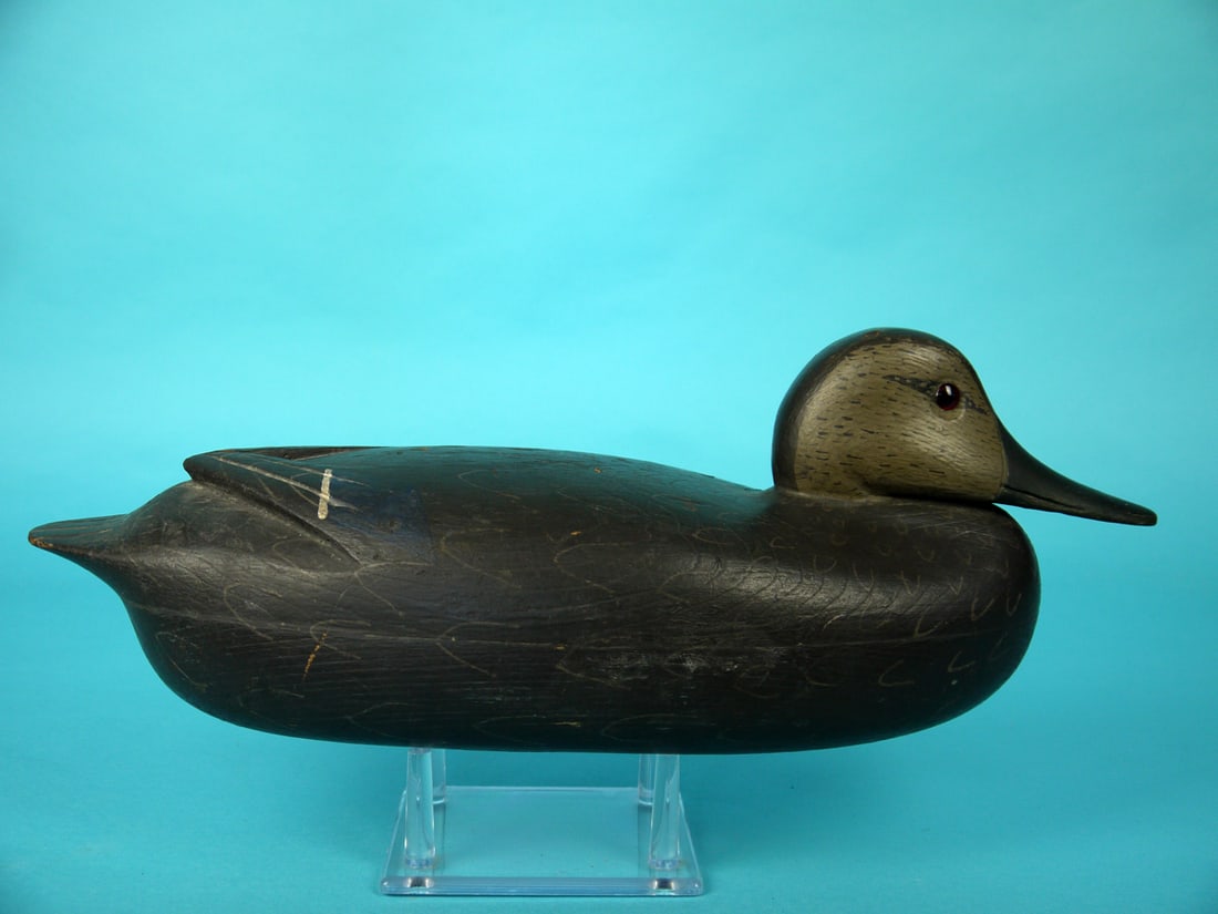 BLACK DUCK, J. BAKER - 2