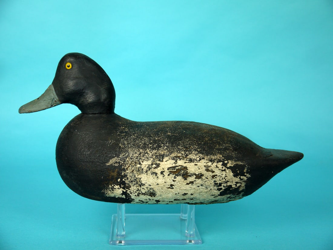 BLUEBILL DRAKE, E. BLACK (1 of 4)