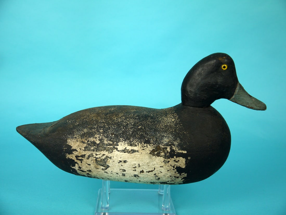 BLUEBILL DRAKE, E. BLACK - 2