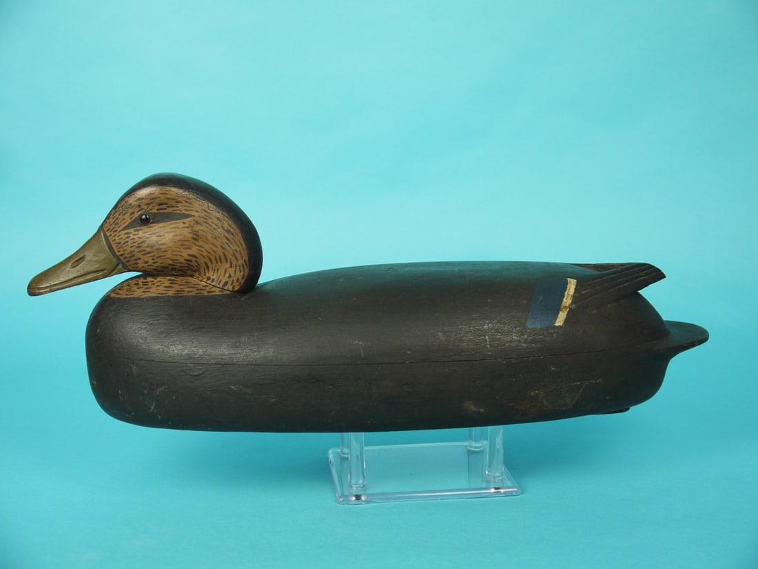BLACK DUCK, C. BLACK (1 of 4)