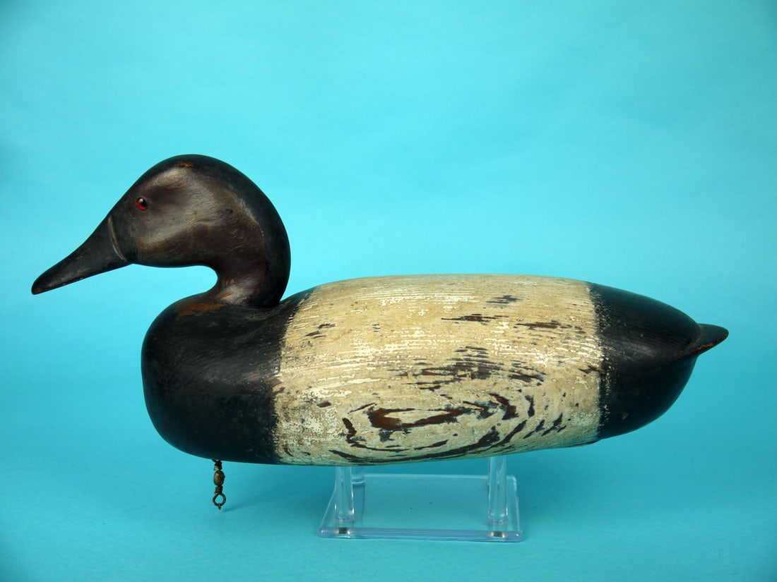 CANVASBACK DRAKE, C. BLACK (1 of 4)