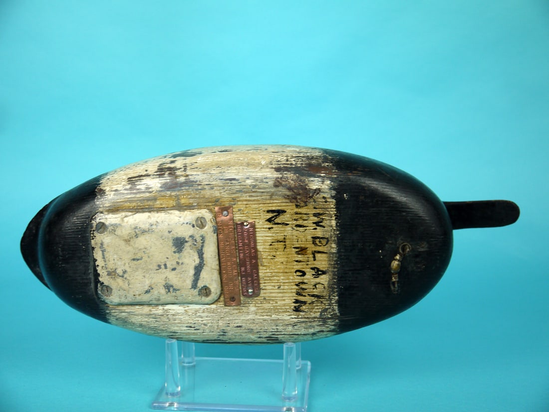 CANVASBACK DRAKE, C. BLACK - 4