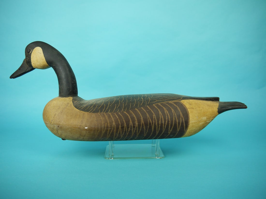 CANADA GOOSE, N. CALCESE (1 of 4)