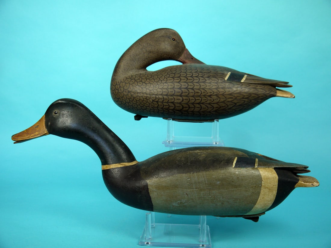 MALLARD PAIR, J. EGELI (1 of 4)