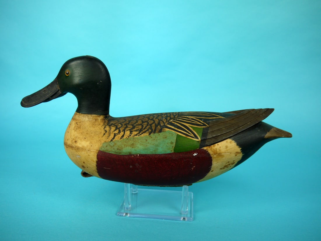 SHOVELER DRAKE, J. EGELI: SHOVELER DRAKE by John Egeli, Roebling, NJ. Original paint with discoloration to body. Very good structural condition. Hollow construction. Raised carved wing tips and fluted tail carving. Retains
