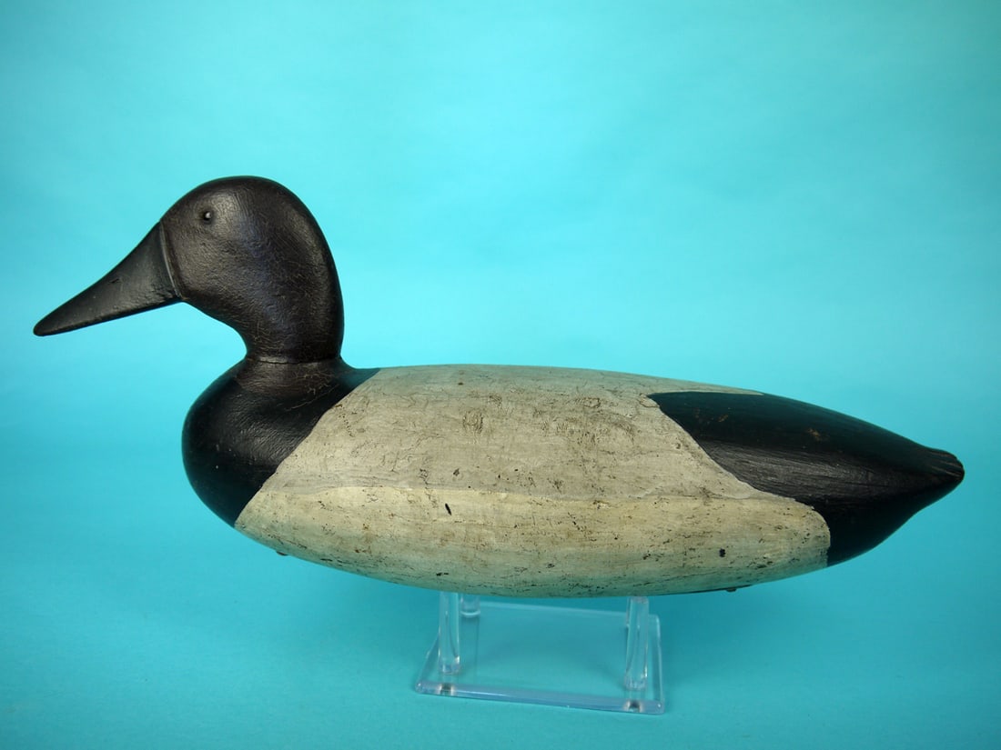 CANVASBACK DRAKE, A. GLASS (1 of 4)