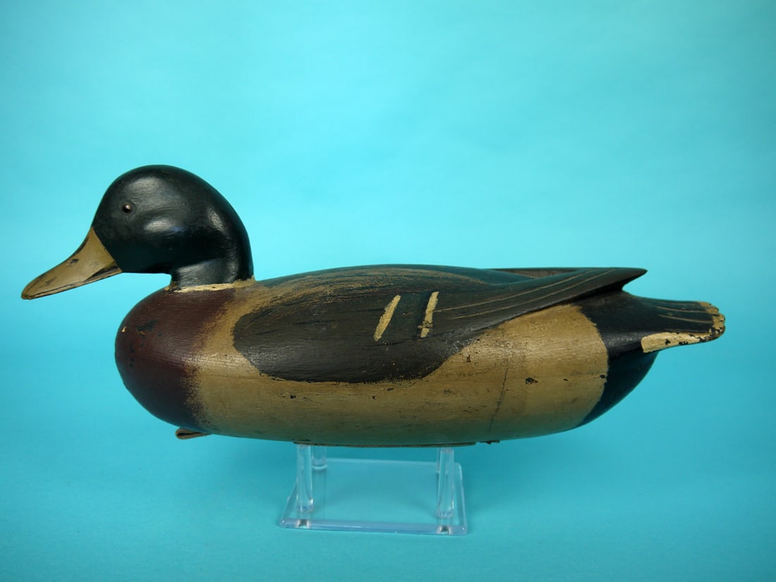 MALLARD DRAKE, J. HEISLER: MALLARD DRAKE by Jess Heisler, Bordentown, NJ. Early working paint with some paint wear to tail edges. Very good structural condition. Tight crack to underside of bill. Hollow construction. Raised car