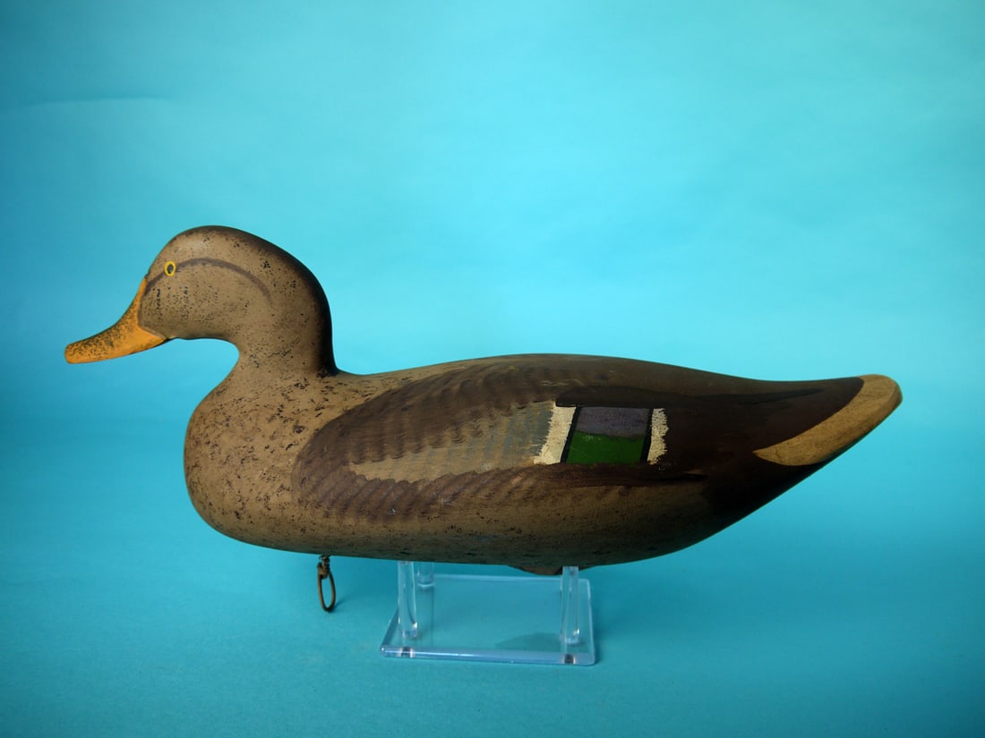 MALLARD HEN, H. JOBES: MALLARD HEN by Harry Jobes, Aberdeen, MD. Very good original paint and structural condition. Retains rigging ring and keel weight. Signed by maker. Overall length is approximately 17 inches. 100-150