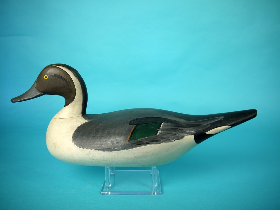 PINTAIL DRAKE, R.M. MITCHELL (1 of 4)