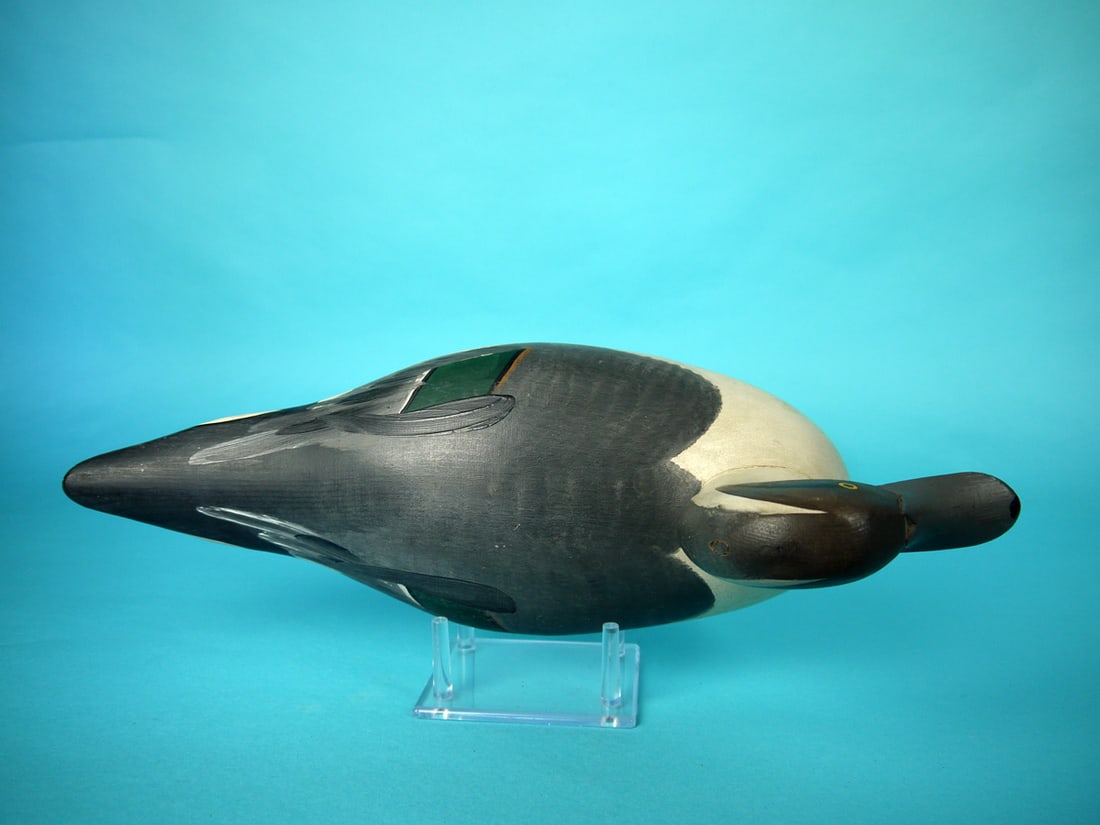 PINTAIL DRAKE, R.M. MITCHELL - 3