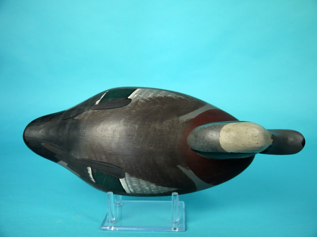 WIGEON DRAKE, R.M. MITCHELL - 3