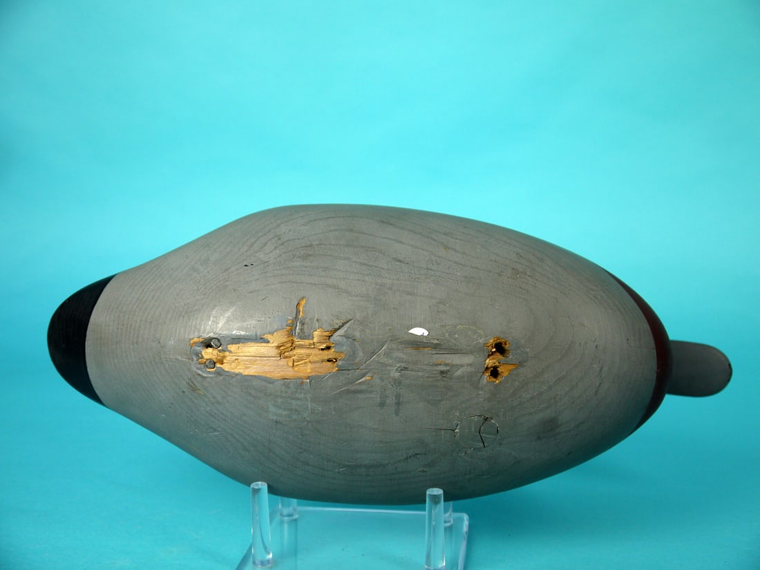 WIGEON DRAKE, R.M. MITCHELL - 4