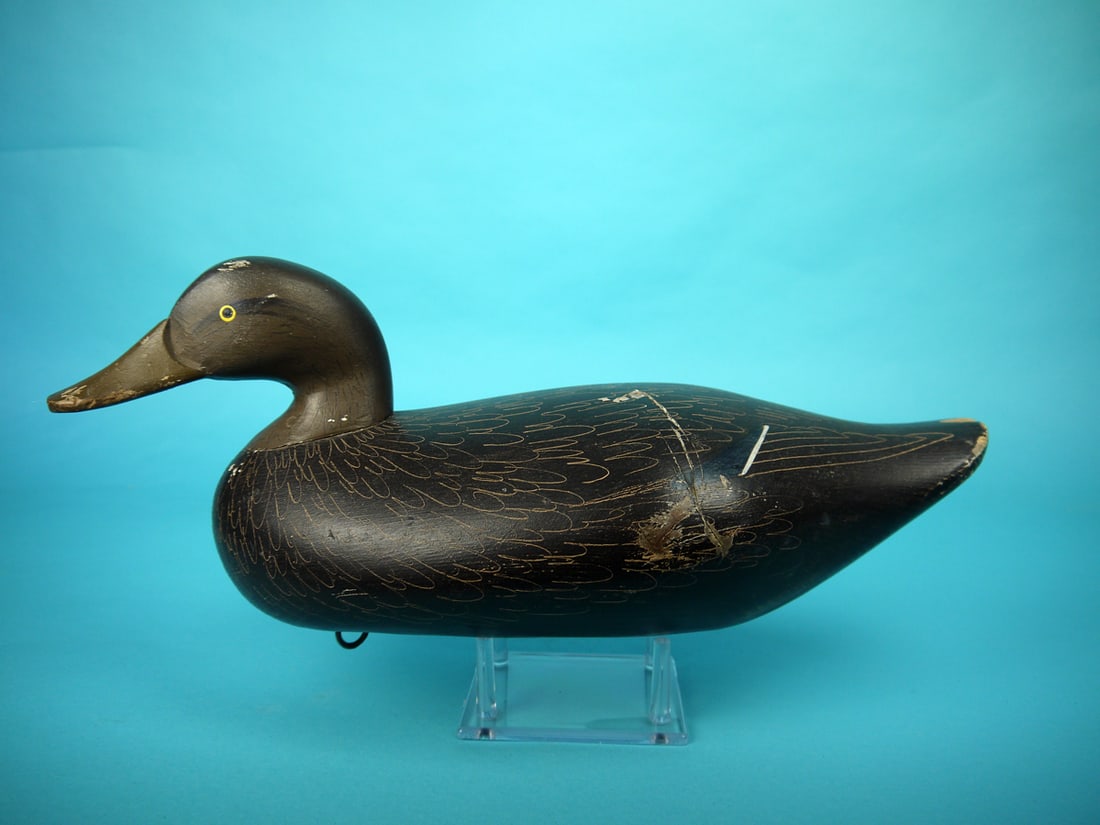 BLACK DUCK, MITCHELL SHOP (1 of 4)