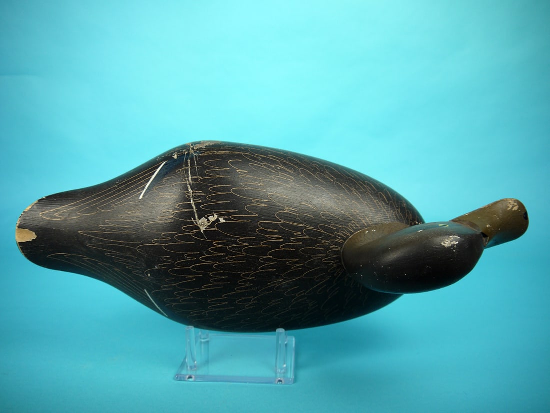 BLACK DUCK, MITCHELL SHOP - 3