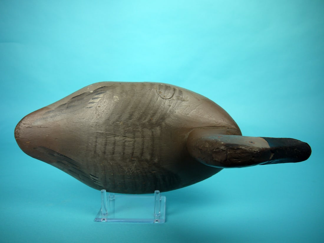 CANVASBACK HEN, UPPER BAY - 3