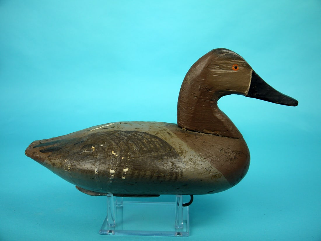 CANVASBACK HEN, UPPER BAY - 2