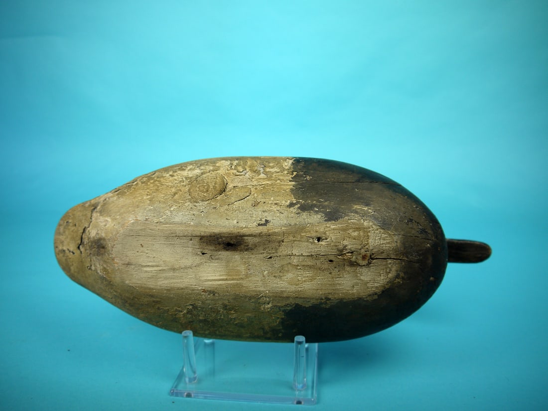 CANVASBACK DRAKE, UPPER BAY - 4