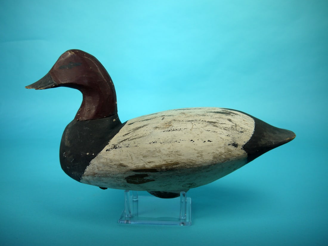 CANVASBACK DRAKE, D. JESTER (1 of 4)