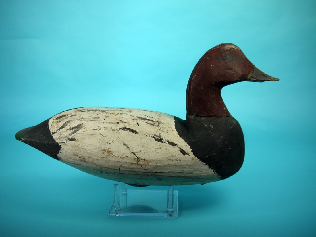 CANVASBACK DRAKE, D. JESTER - 2