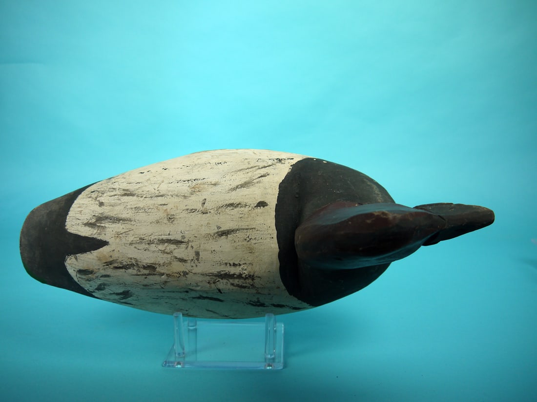 CANVASBACK DRAKE, D. JESTER - 3