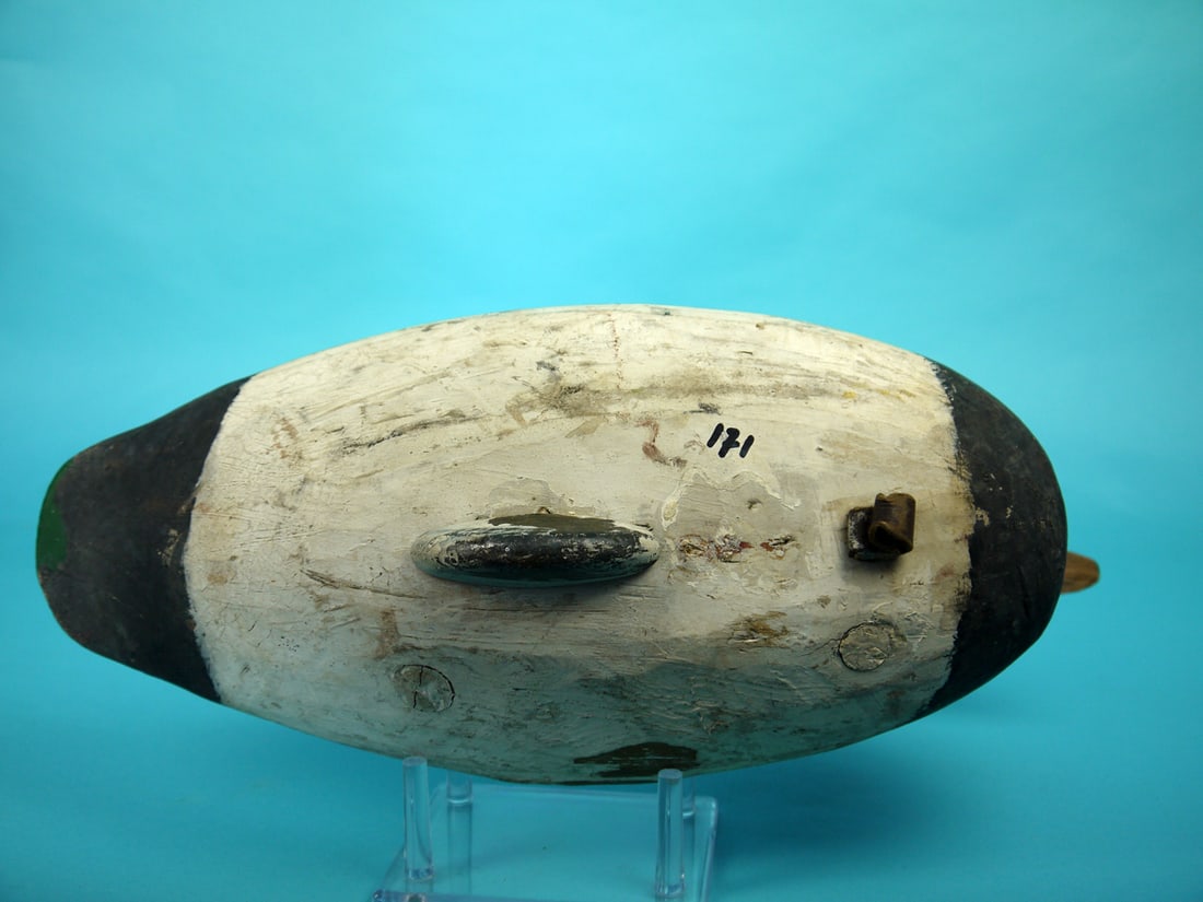 CANVASBACK DRAKE, D. JESTER - 4