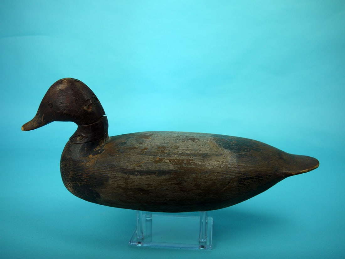 CANVASBACK DRAKE, I. HUDSON (1 of 4)