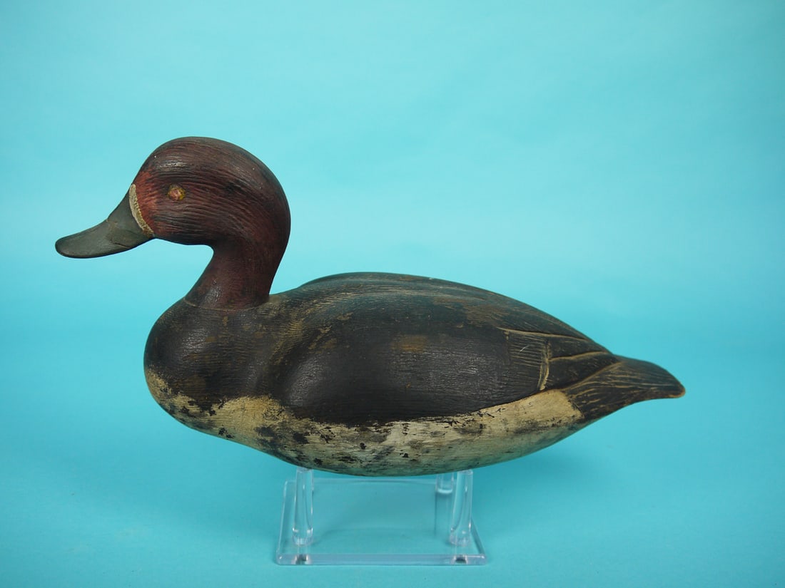 REDHEAD DRAKE, P.E. LACOMBE (1 of 4)