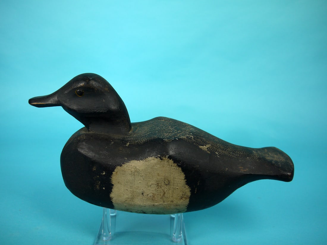 BROADBILL DRAKE, F. LEWIS (1 of 4)