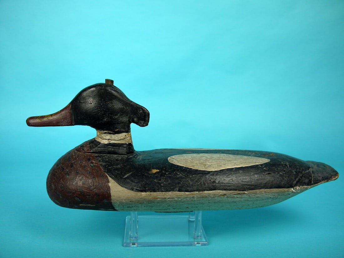 RED-BREASTED MERGANSER DRAKE, MAINE (1 of 4)