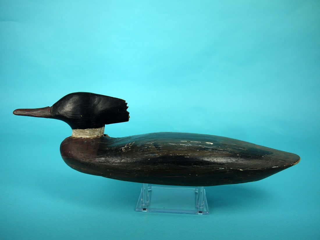 RED-BREASTED MERGANSER DRAKE, MAINE (1 of 4)