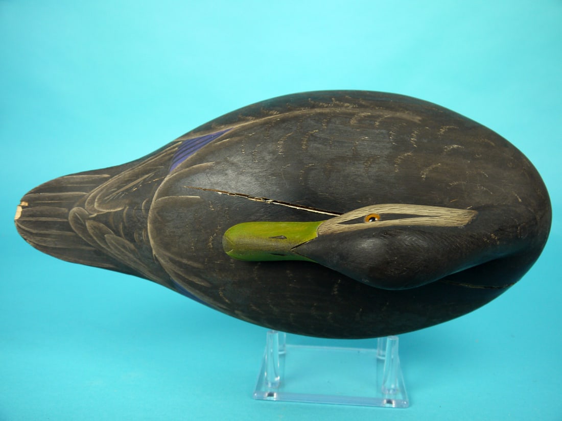 BLACK DUCK, M. COLLINS - 3