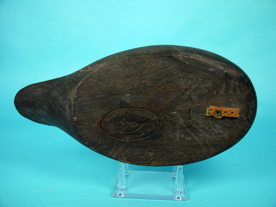 BLACK DUCK, M. COLLINS - 4