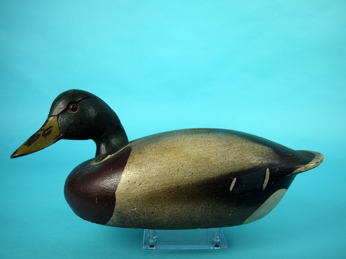 MALLARD DRAKE, MIDWEST: MALLARD DRAKE, MidWest. Good original paint with some minor wear to tail edges. Good structural condition. Tight crack at mid-neck. Turned head retains glass eyes and bill with carved nostrils and man